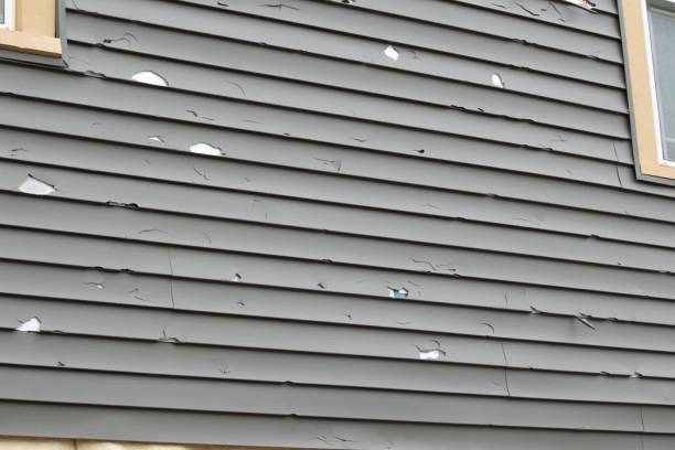 Best Shed Removal  in Moscow, ID